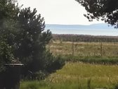 Parduodamas Išskirtinio Interjero Trijų - nuotraukos Nr. 9