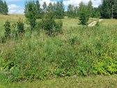 Parduodu 0.28ha žemės sklypą Utenos rajone. - nuotraukos Nr. 4