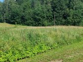 Parduodu 0.28ha žemės sklypą Utenos rajone. - nuotraukos Nr. 5