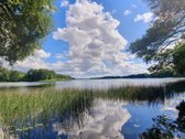 Parduodamas 16,85 ha ploto žemės ūkio - nuotraukos Nr. 3