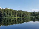 Parduodamas 16,85 ha ploto žemės ūkio - nuotraukos Nr. 5