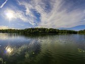 Parduodamas 16,85 ha ploto žemės ūkio - nuotraukos Nr. 6