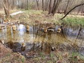 Parduodamas 16,85 ha ploto žemės ūkio - nuotraukos Nr. 4