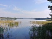 Parduodamas 16,85 ha ploto žemės ūkio - nuotraukos Nr. 7
