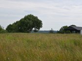 Parduodamas 30a namų valdos sklypas Zapyškyje - nuotraukos Nr. 3