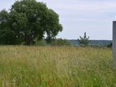 Parduodamas 30a namų valdos sklypas Zapyškyje - nuotraukos Nr. 2