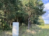 Parduodamas 1.4338 ha sklypas su patvirtintu - nuotraukos Nr. 7