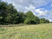Parduodamas 0.5941 ha žemės ūkio paskirties - nuotraukos Nr. 5