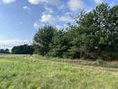 Parduodamas 0.5941 ha žemės ūkio paskirties - nuotraukos Nr. 6