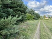 Parduodamas 0.5941 ha žemės ūkio paskirties - nuotraukos Nr. 7