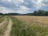 Galima nuoma 2999 eur.viso sklypo metams - nuotraukos Nr. 2