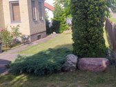 Artimoji, senoji, taip vadinama auksinė - nuotraukos Nr. 3