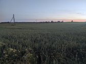 Parduodamas 5,3100ha bendro ploto žemės ūkio - nuotraukos Nr. 4