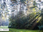 Vienoje iš vertingiausių ir architektūrinį - nuotraukos Nr. 18