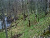 Unikalus sklypas gamtos apsuptyje svajonių - nuotraukos Nr. 5