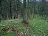 Unikalus sklypas gamtos apsuptyje svajonių - nuotraukos Nr. 7