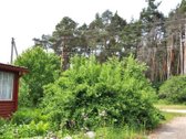 Namai Rūdiškėse, Prie Pušyno, Laukia Jūsų - - nuotraukos Nr. 2