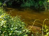Parduodu Unikalų 7 Ha Sklypą Su Upės Pakrante - nuotraukos Nr. 13
