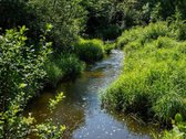 Parduodu Unikalų 7 Ha Sklypą Su Upės Pakrante - nuotraukos Nr. 16