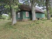 Nuomojamas vienkiemis su 1ha žemės su sodu,