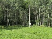 Parduodamas Namų Valdos Sklypas Su Ūkiniu - nuotraukos Nr. 6