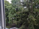 Nuomojamas vieno kamb.butas. - nuotraukos Nr. 14