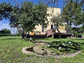 Gyvenamasis namas su rūsiu, su dviem ūkiniais - nuotraukos Nr. 3