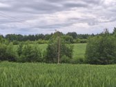 Parduodamas žemės ūkio paskirties sklypas. - nuotraukos Nr. 2
