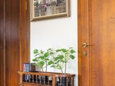 Parduodamas Puikiai Išplanuotas Vieno Aukšto - nuotraukos Nr. 14
