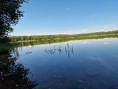 Telšių rajone 13,5 Ha sklypas ant Baltežerio - nuotraukos Nr. 10