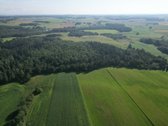 Telšių rajone 13,5 Ha sklypas ant Baltežerio - nuotraukos Nr. 18