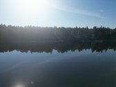 Telšių rajone 13,5 Ha sklypas ant Baltežerio - nuotraukos Nr. 22