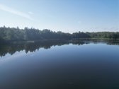Telšių rajone 13,5 Ha sklypas ant Baltežerio - nuotraukos Nr. 19