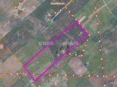 Parėčėnuose parduodamas gyvenamas namas su 9 - nuotraukos Nr. 6