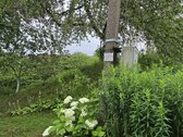 Parduodamas 12 arų sodo sklypas Utenos r. sav - nuotraukos Nr. 7