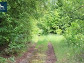 Parduodamas 63,22 a rekreacinės paskirties - nuotraukos Nr. 9