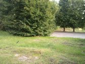 Sklypas prie hipodromo , prie pat - nuotraukos Nr. 5