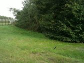 Sklypas prie hipodromo , prie pat - nuotraukos Nr. 6