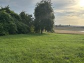 Kalvarijos sav., Brukų k., parduodama sodyba - nuotraukos Nr. 8
