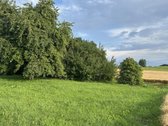 Kalvarijos sav., Brukų k., parduodama sodyba - nuotraukos Nr. 9