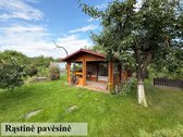 Ventos vingyje, Šilelio miško apsuptyje - nuotraukos Nr. 2