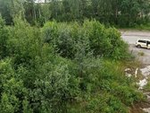 Žemės sklypas nesuformuotas,reik susiformuoti - nuotraukos Nr. 14