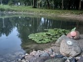 Parduodama išskirtinė sodyba gamtos apsuptyje - nuotraukos Nr. 30