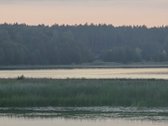 Sala Veisiejo ežere, aplink supa vanduo. Į ją - nuotraukos Nr. 4