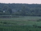 Sala Veisiejo ežere, aplink supa vanduo. Į ją - nuotraukos Nr. 5