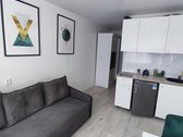 Nuomojamas tvarkingas, jaukus studijo tipo