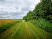 Parduodamas 36 arų sklypas Bulėnų k., Šiaulių - nuotraukos Nr. 34