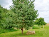 Parduodamas 36 arų sklypas Bulėnų k., Šiaulių - nuotraukos Nr. 10