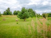 Parduodamas 36 arų sklypas Bulėnų k., Šiaulių - nuotraukos Nr. 4