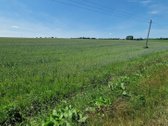 Asmenine pm siūlykite ir savo kainą. Žemė - nuotraukos Nr. 2